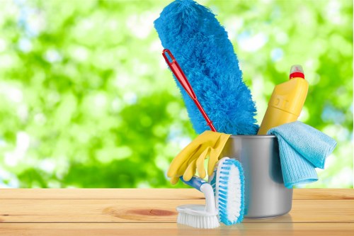 Professional carpet cleaning service for a Sutton home