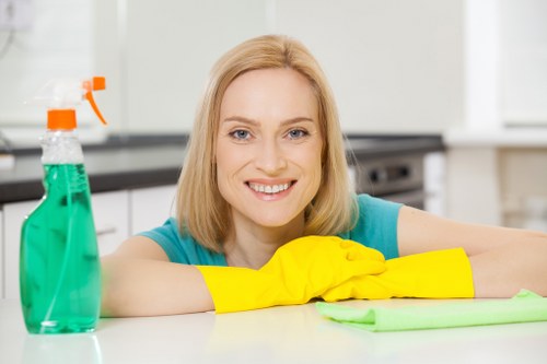 Window cleaning service for a Sutton home exterior