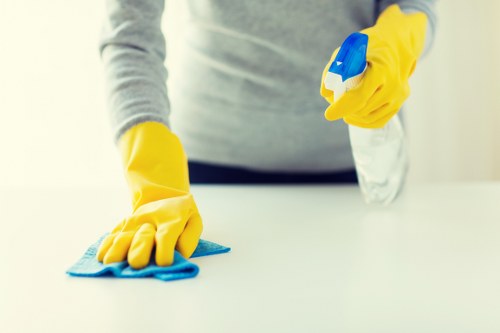 Example deep clean for a Sutton apartment near the station
