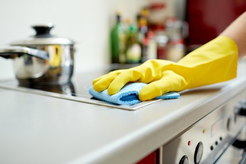 Risk assessment being completed before a deep cleaning service in Sutton