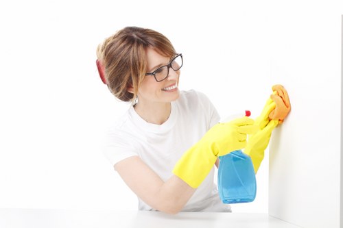 Encrypted Deep Cleaning Sutton payment processing with SSL