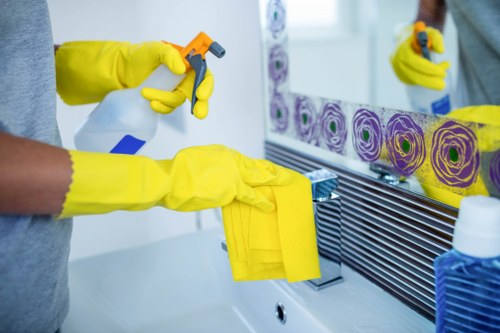 Domestic cleaning supplies arranged for a Sutton property visit