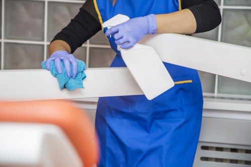 Cleaning supplies and household surfaces in a Sutton home
